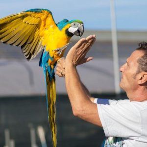 enzo salvi e fly